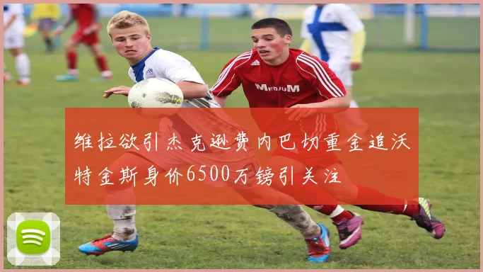维拉欲引杰克逊费内巴切重金追沃特金斯身价6500万镑引关注