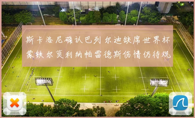 斯卡洛尼确认巴列尔迪缺席世界杯蒙铁尔莫利纳帕雷德斯伤情仍待观察