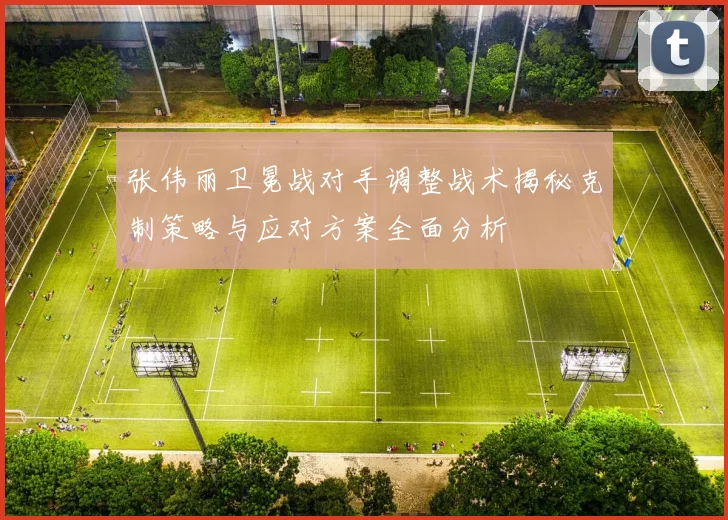 张伟丽卫冕战对手调整战术揭秘克制策略与应对方案全面分析